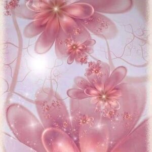 Meet your Posher, Amelia